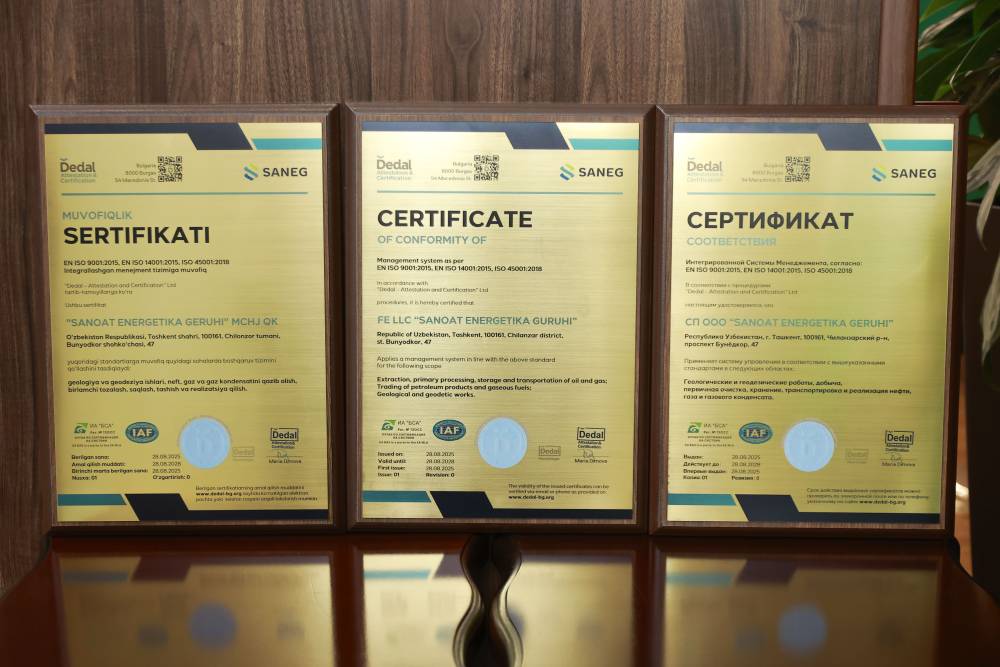 Saneg Implements an Integrated Management System Based on International ISO Standards