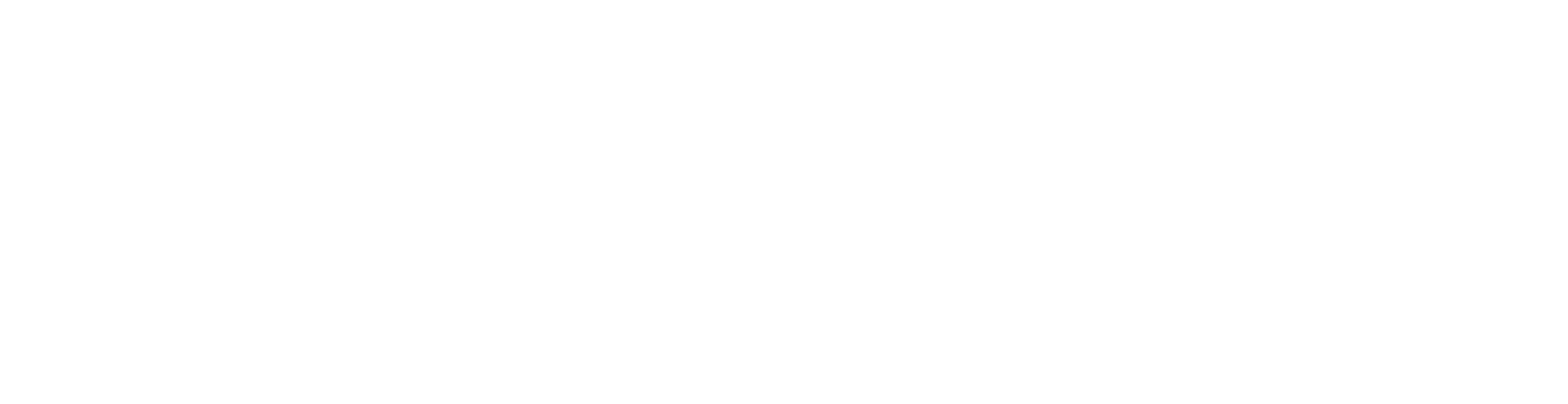 Saneg